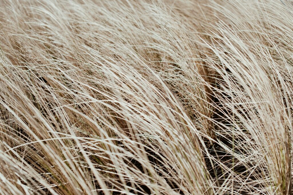 textured